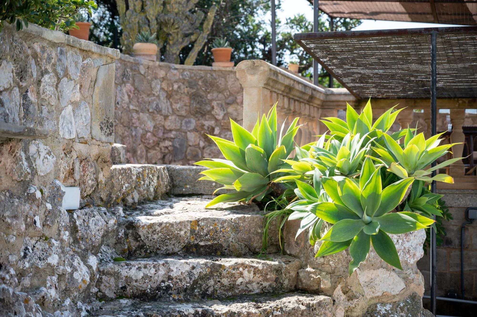 Pou Dels Escarabats Villa Pollença Екстериор снимка